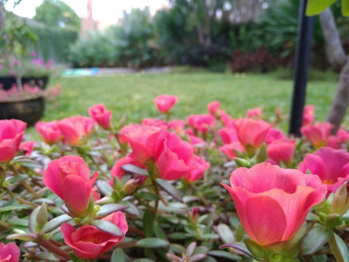 Cove Tevana Seminyak Dış mekan fotoğraf